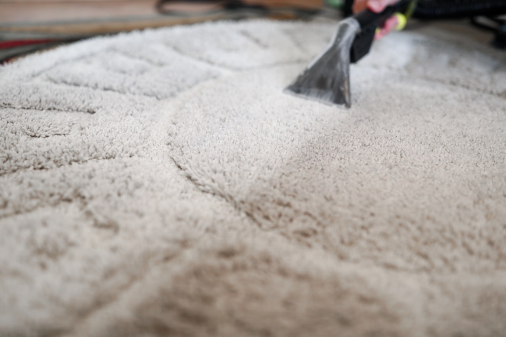 wool rug cleaning near me