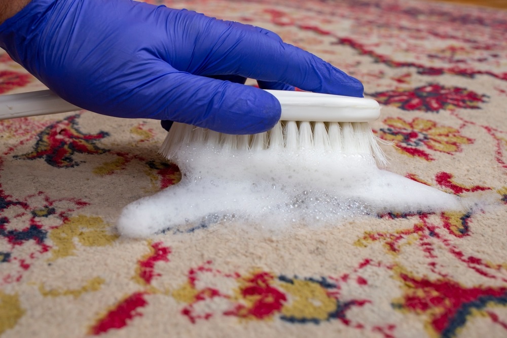 Professional cleaning process of an oriental rug, showcasing deep cleaning techniques