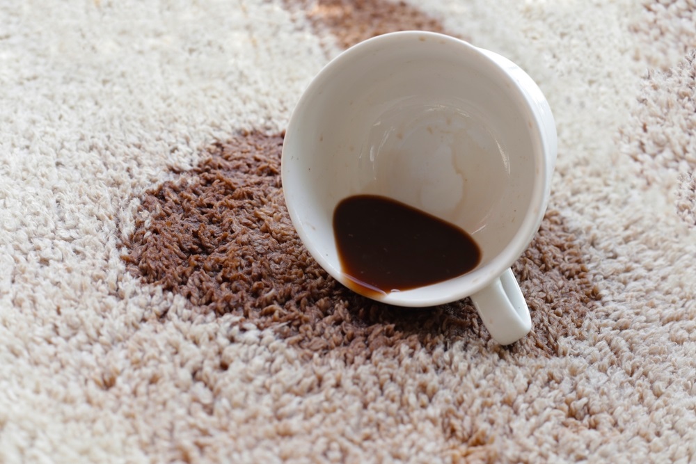 A spotless white rug being cleaned with gentle products, demonstrating effective methods for how to clean white rug.