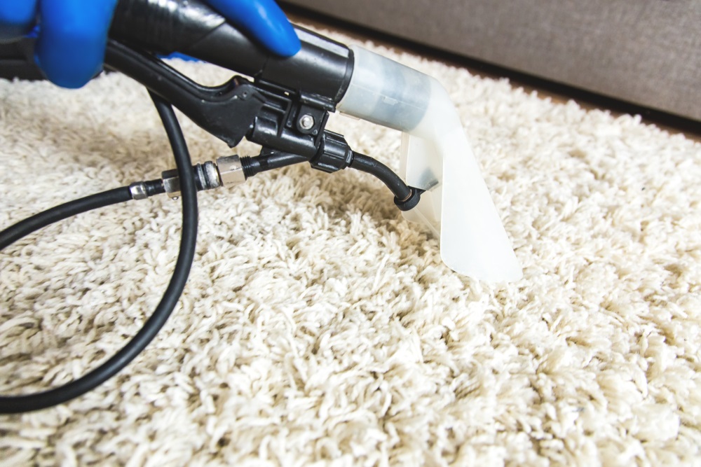 A spotless white rug being cleaned with gentle products, demonstrating effective methods for how to clean white rug.